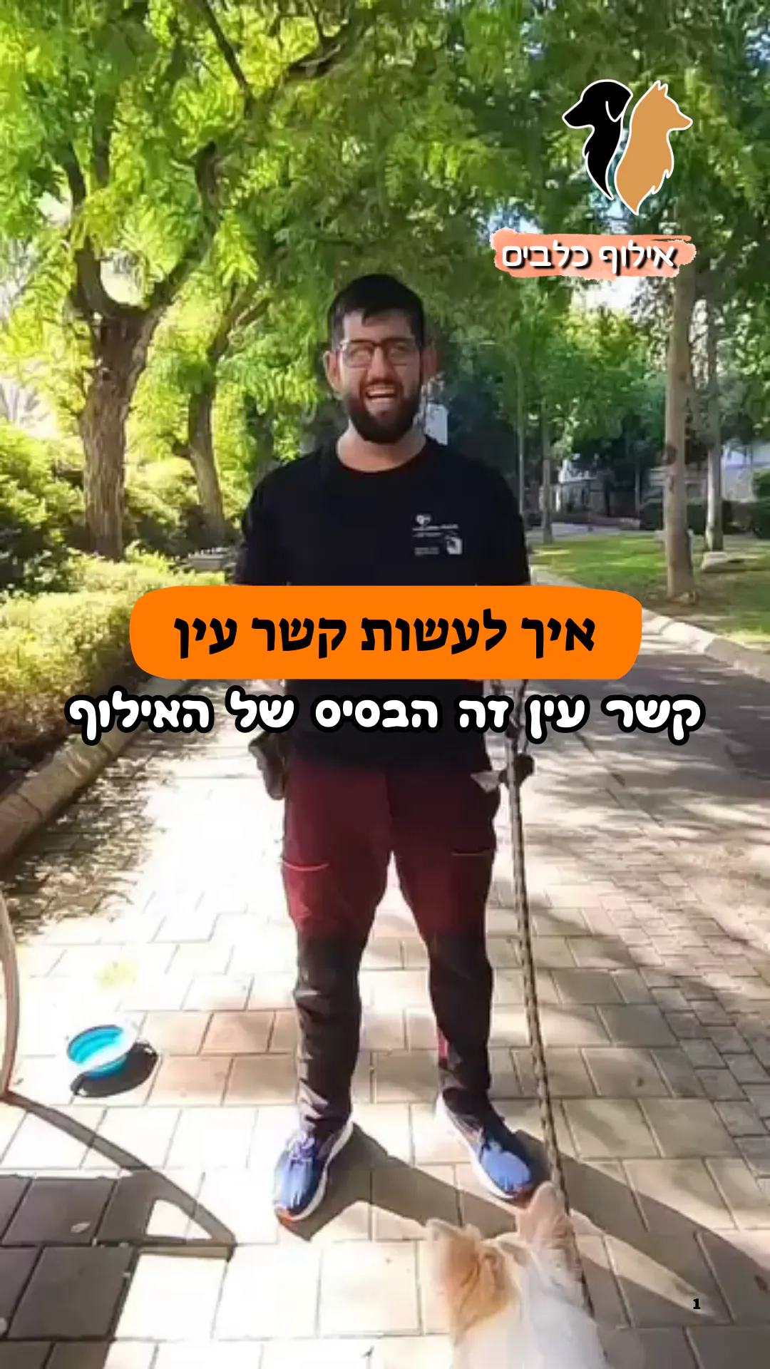 קשר עין – המפתח לתקשורת עם הכלב שלך