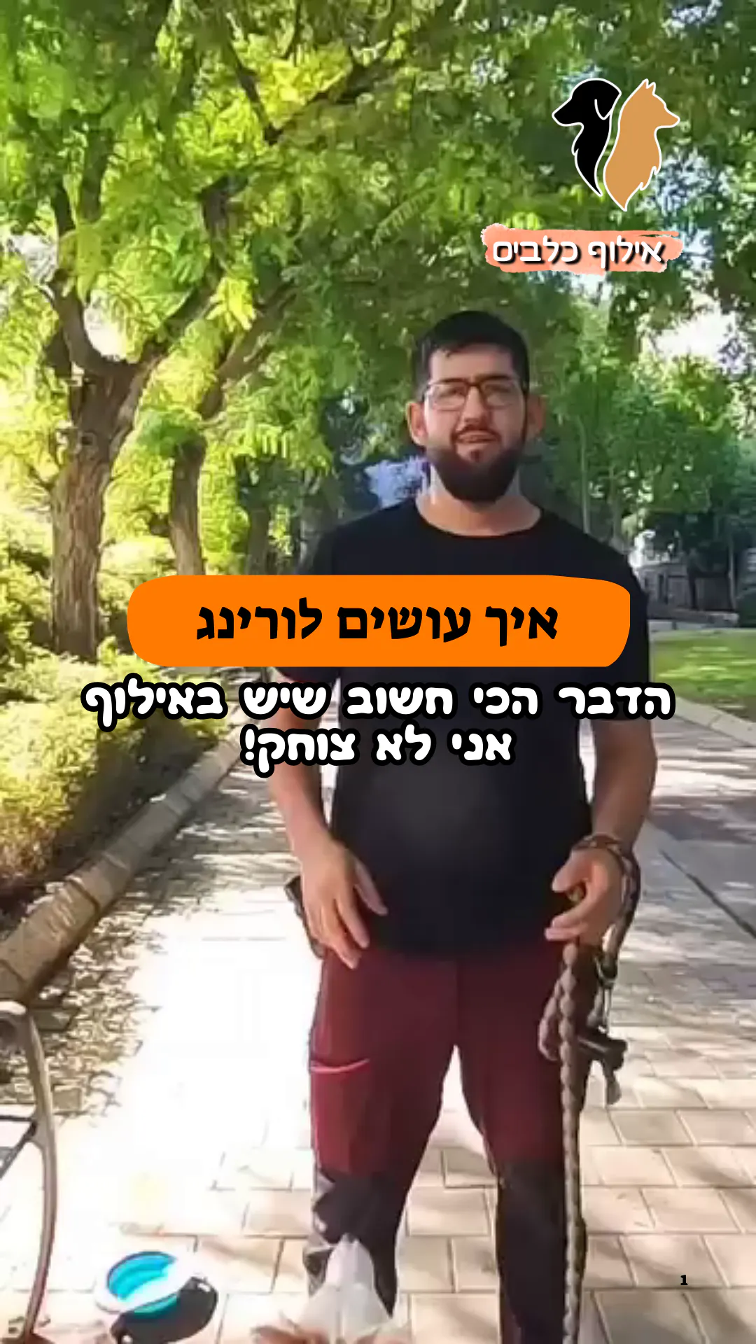 איך עושים לורינג לכלב