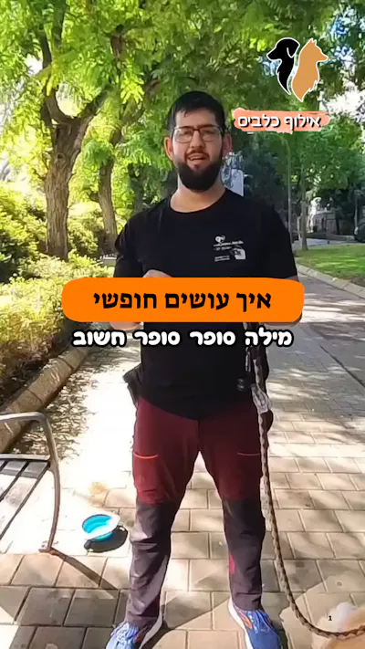 מה זה אומר המילה חופשי