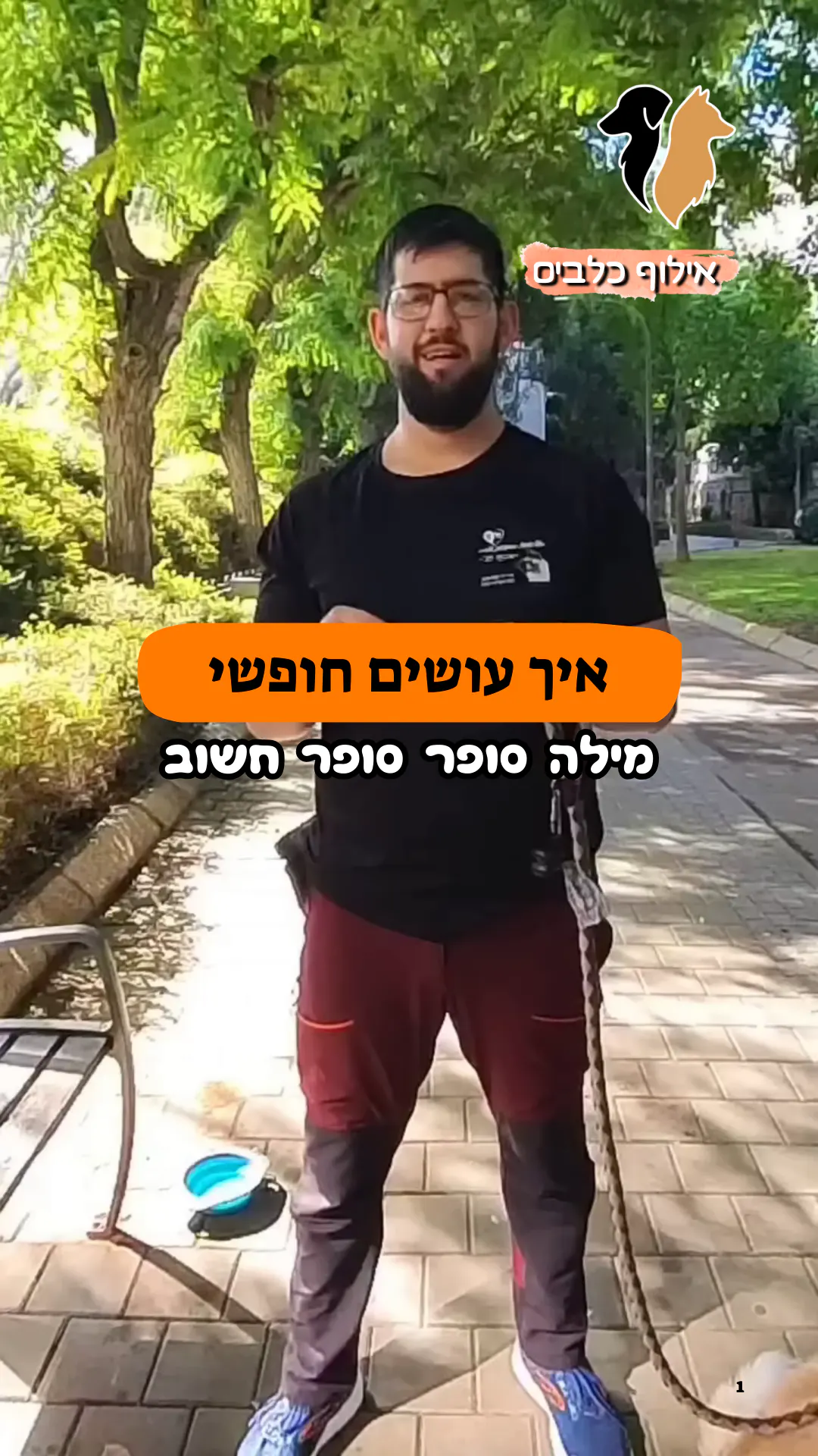 מה זה אומר המילה חופשי