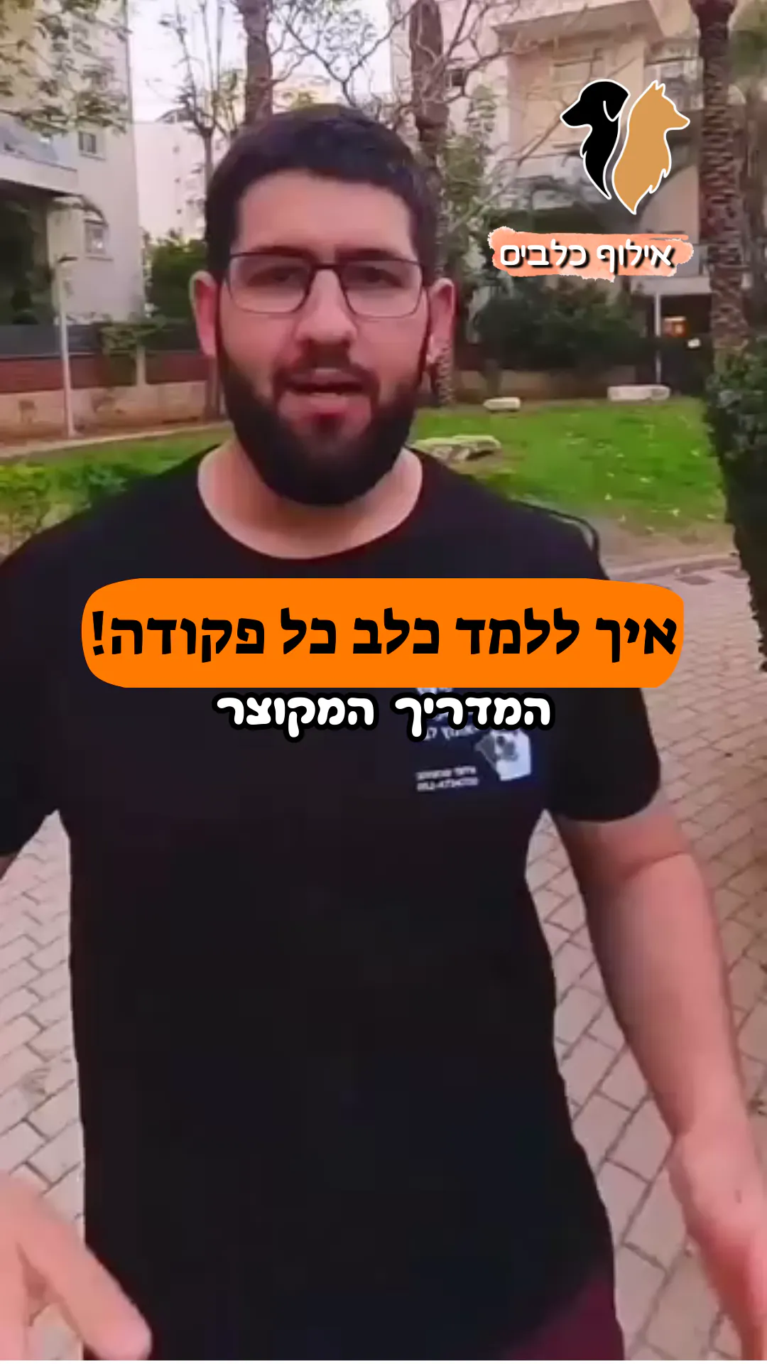איך לאלף כלב כל פקודה