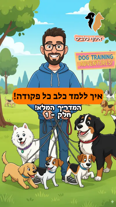 איך מלמדים כלב כל פקודה המדריך המלא חלק - 1