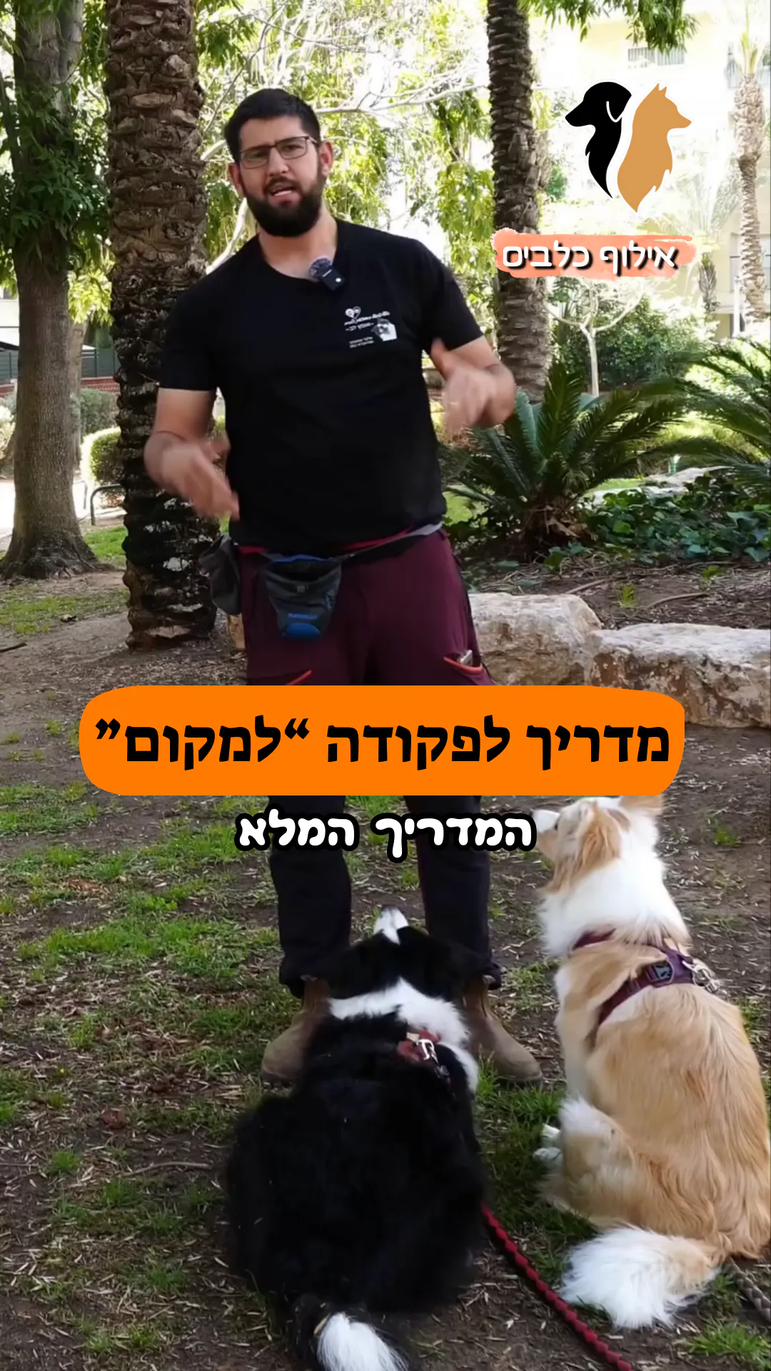 המדריך לפקודה למקום