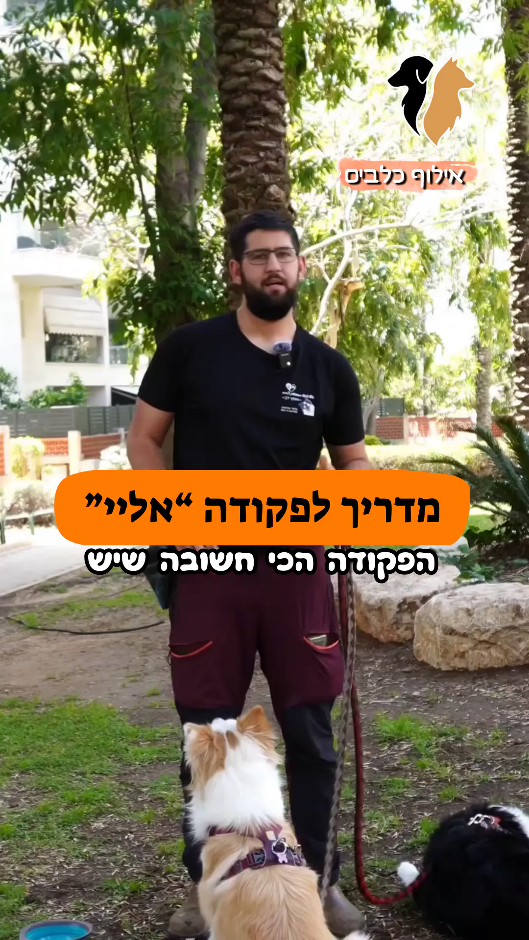 מדריך לפקודה אליי