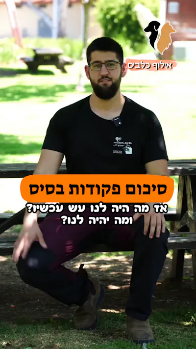 סיכום הפקודות הבסיסיות