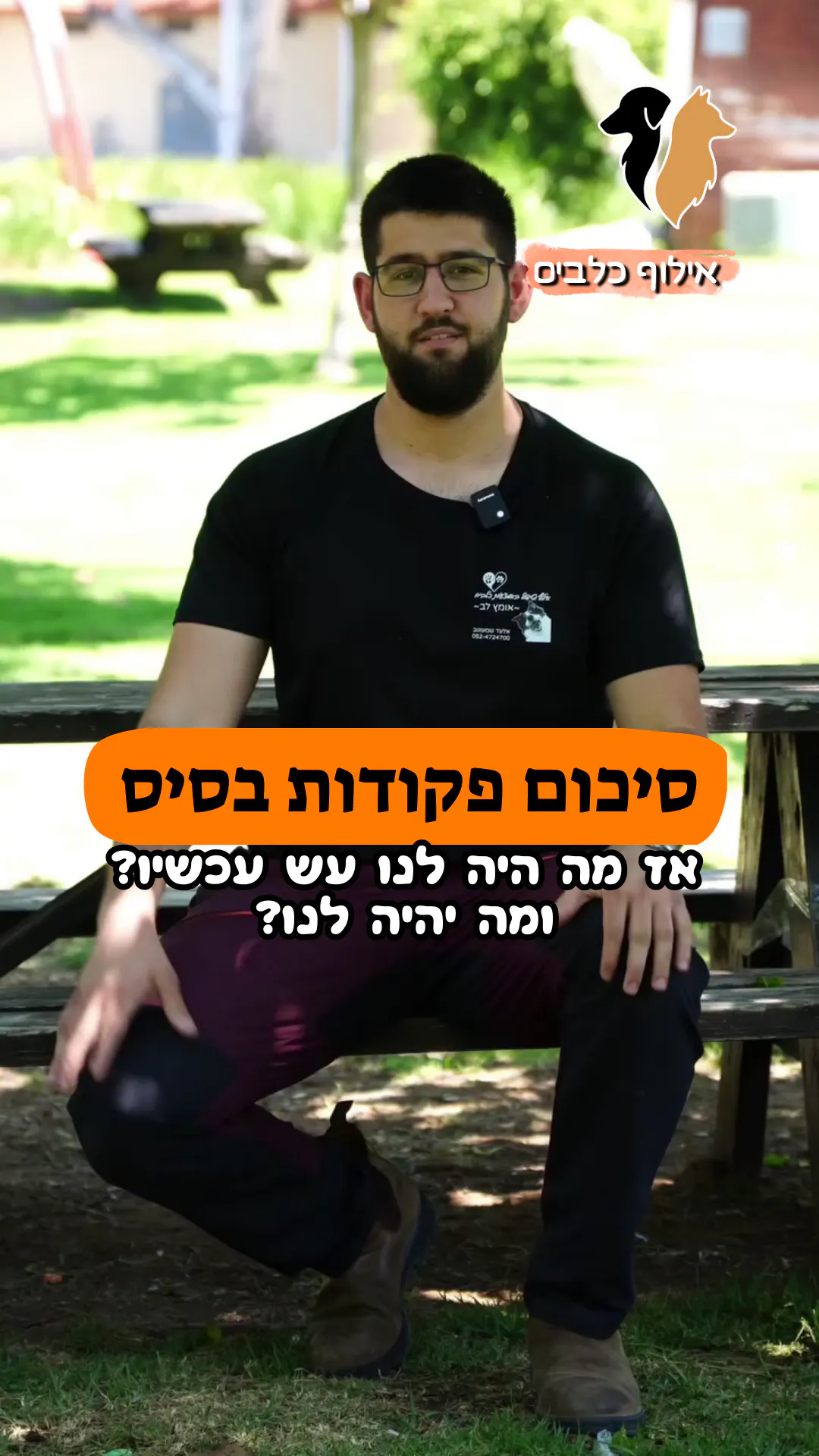 סיכום הפקודות הבסיסיות