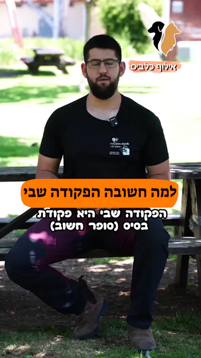 למה הפקודה שבי חשובה?
