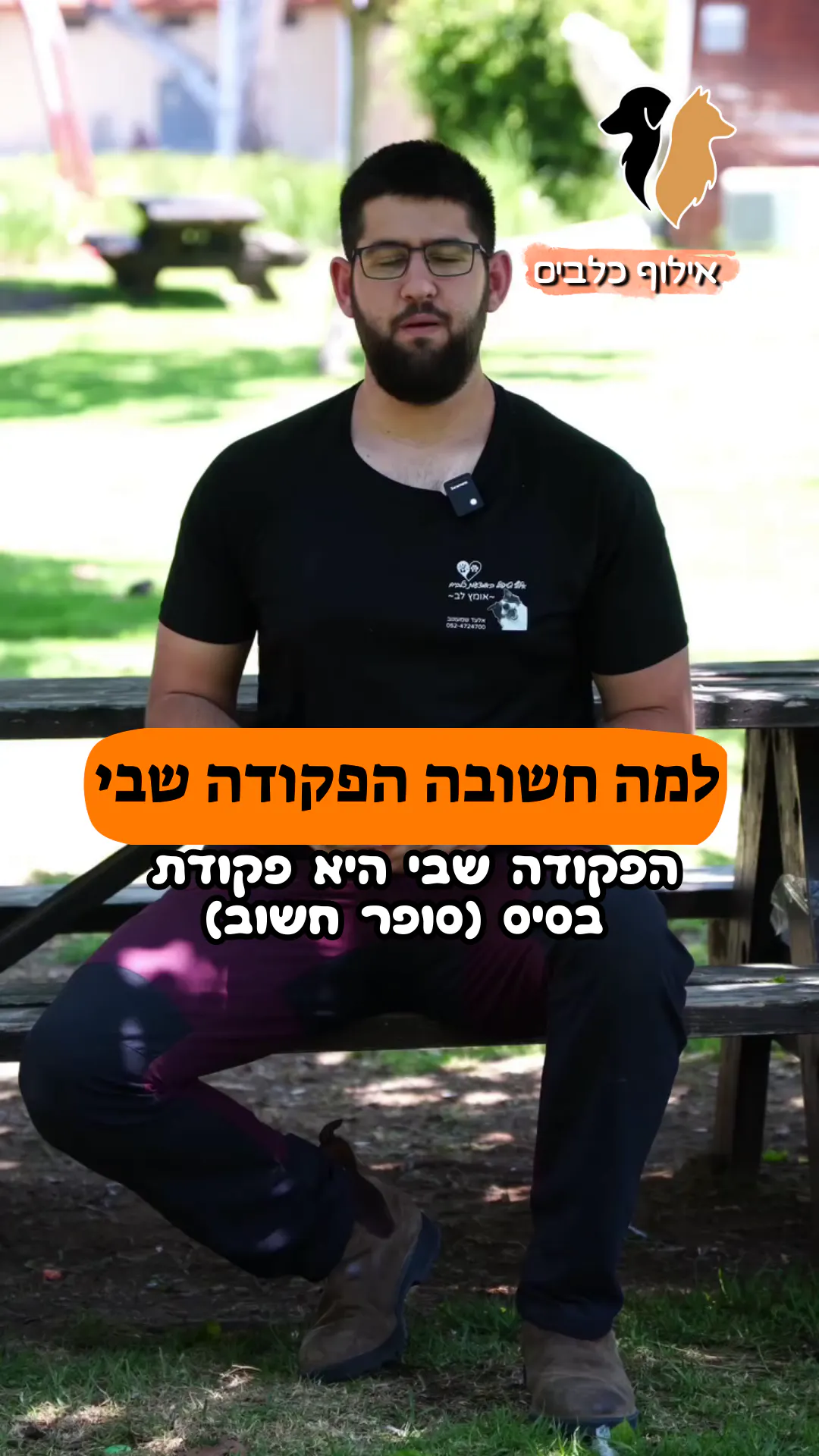 למה הפקודה שבי חשובה?