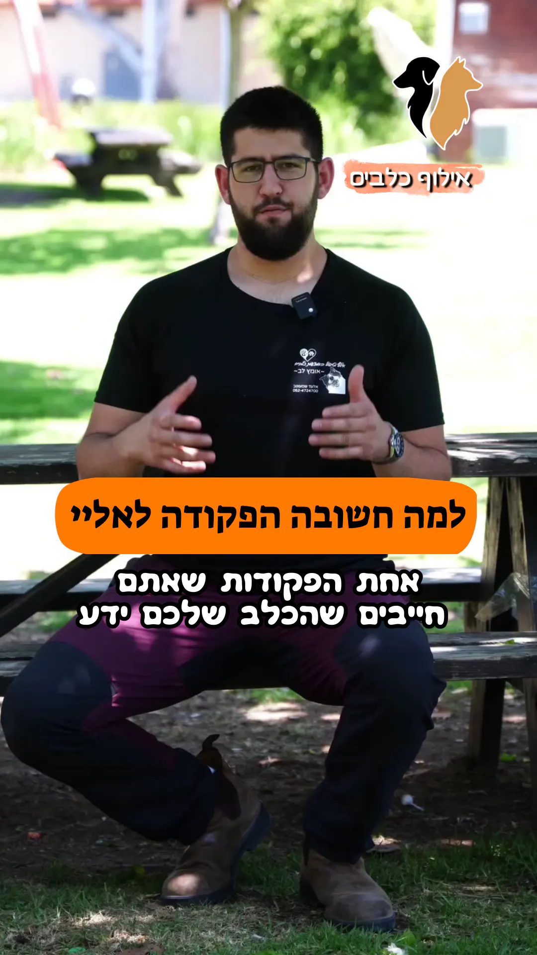 למה הפקודה אליי חשובה?
