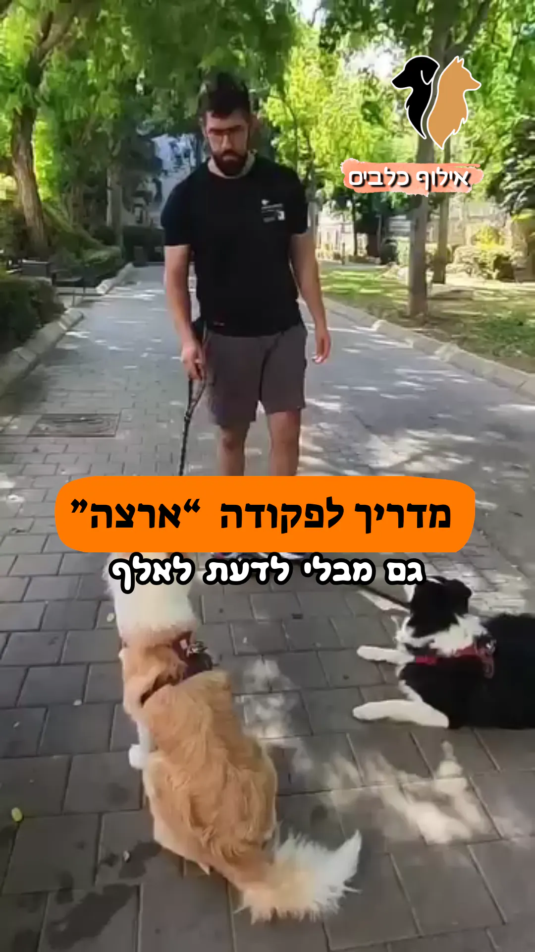 מדריך הפקודה ארצה