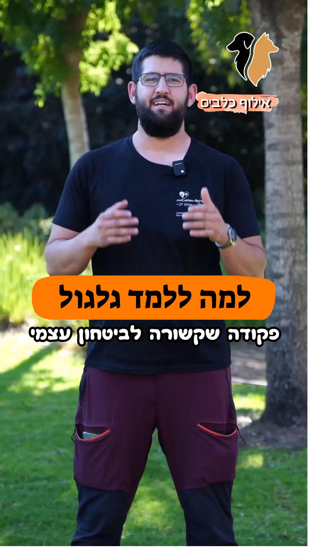 למה ללמד את הפקודה "גלגול"? 🔄🐶