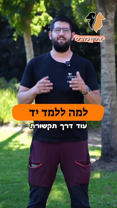 למה ללמד את הפקודה "יד"?