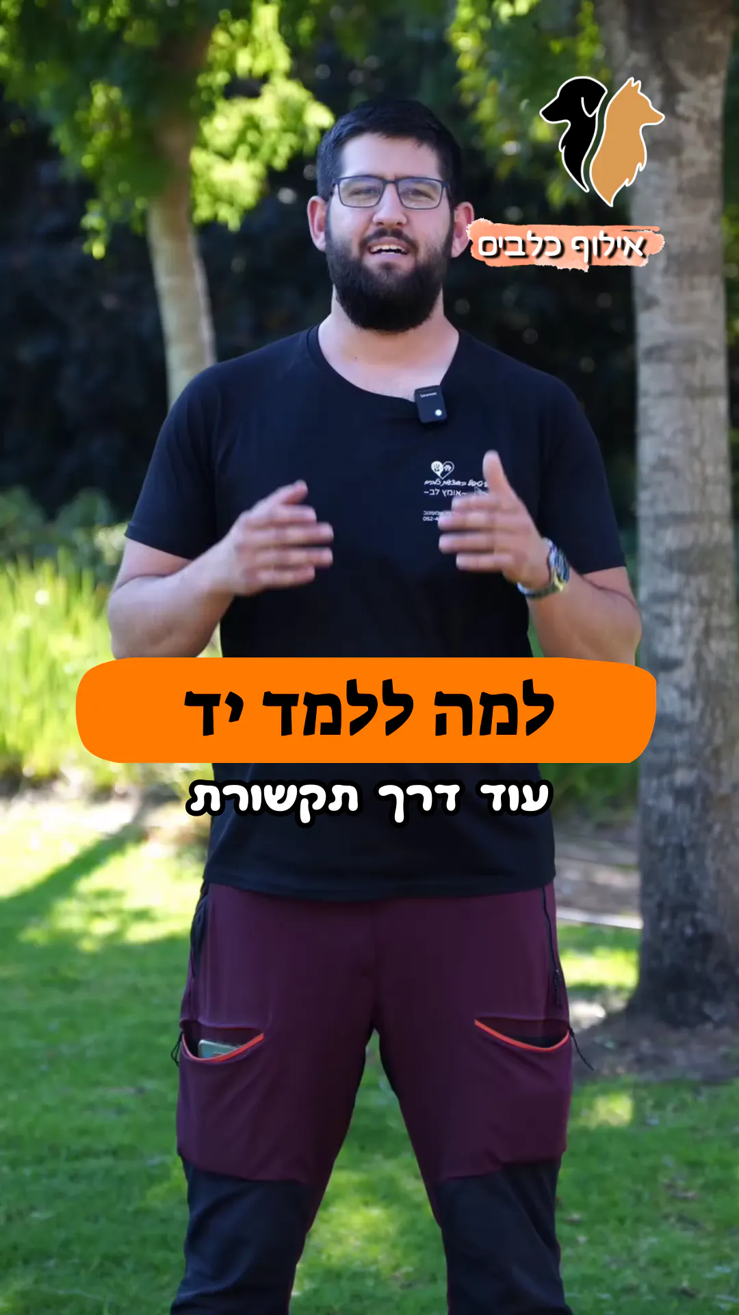 למה ללמד את הפקודה "יד"?