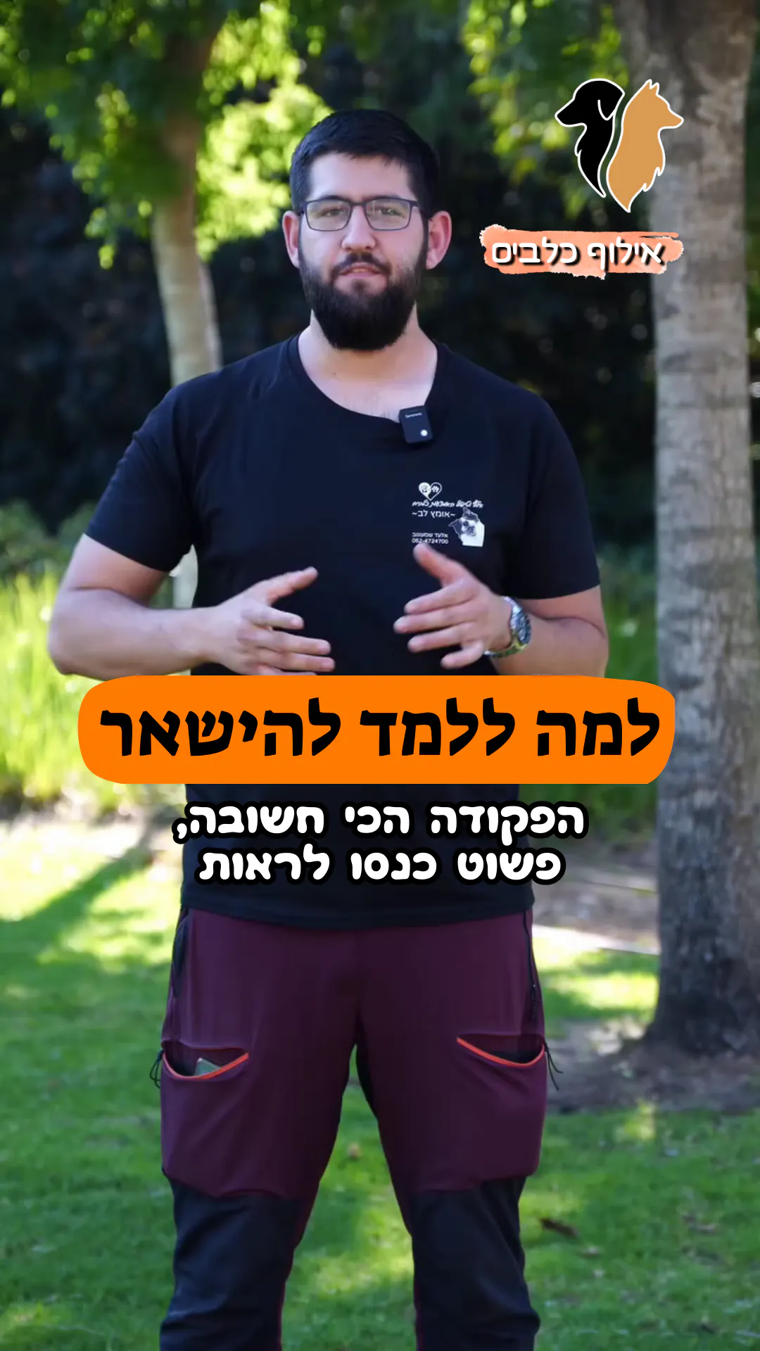 למה ללמד את הפקודה "להישאר"?