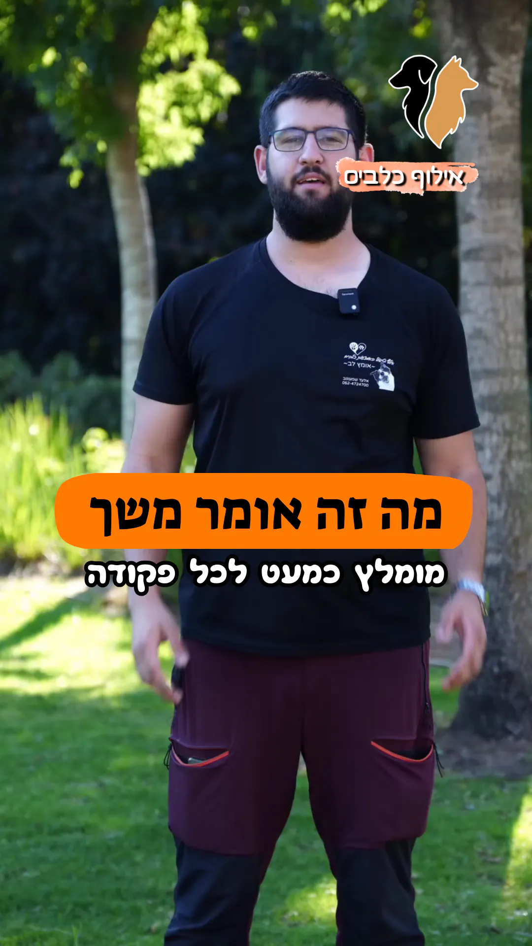 מה זה "משך" באילוף? ⏱️🐶