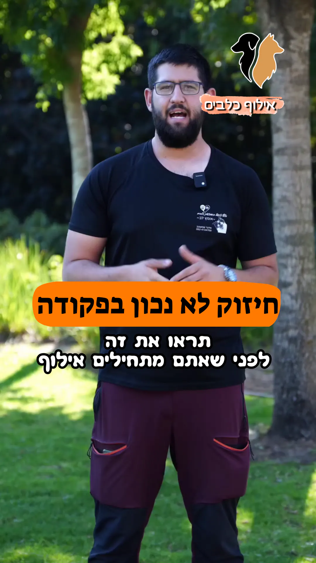 הכי חשוב לדעת לפני אילוף
