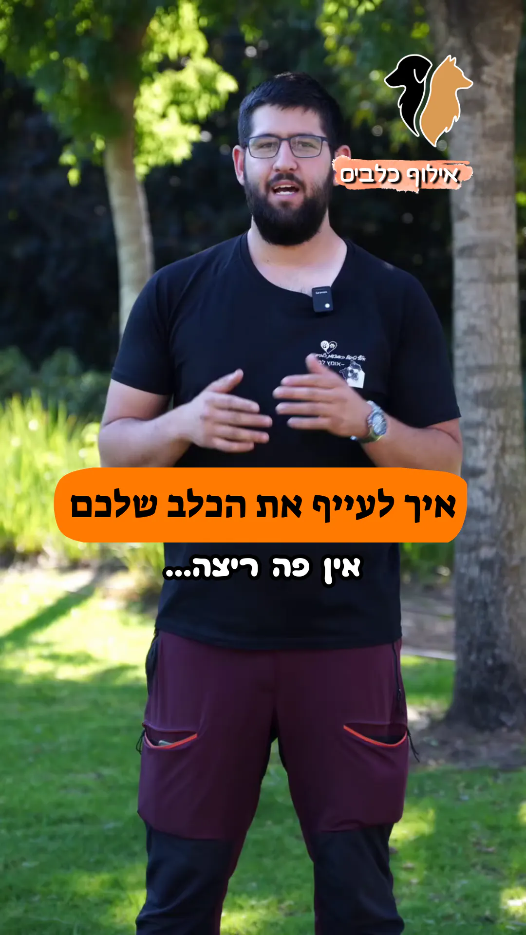 איך לעייף את הכלב בלי לרוץ מרתון? 🧠🐶💤