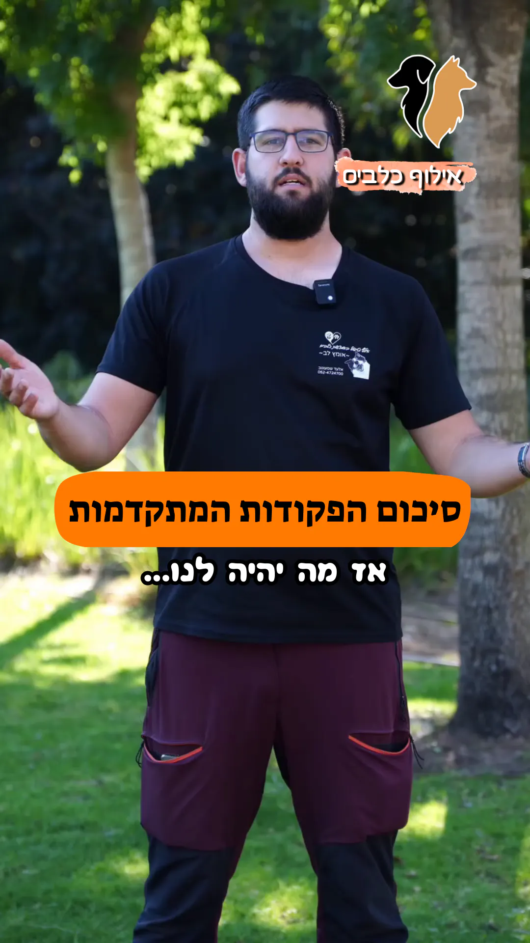 סיכום סדרת הפקודות 🙂🐶