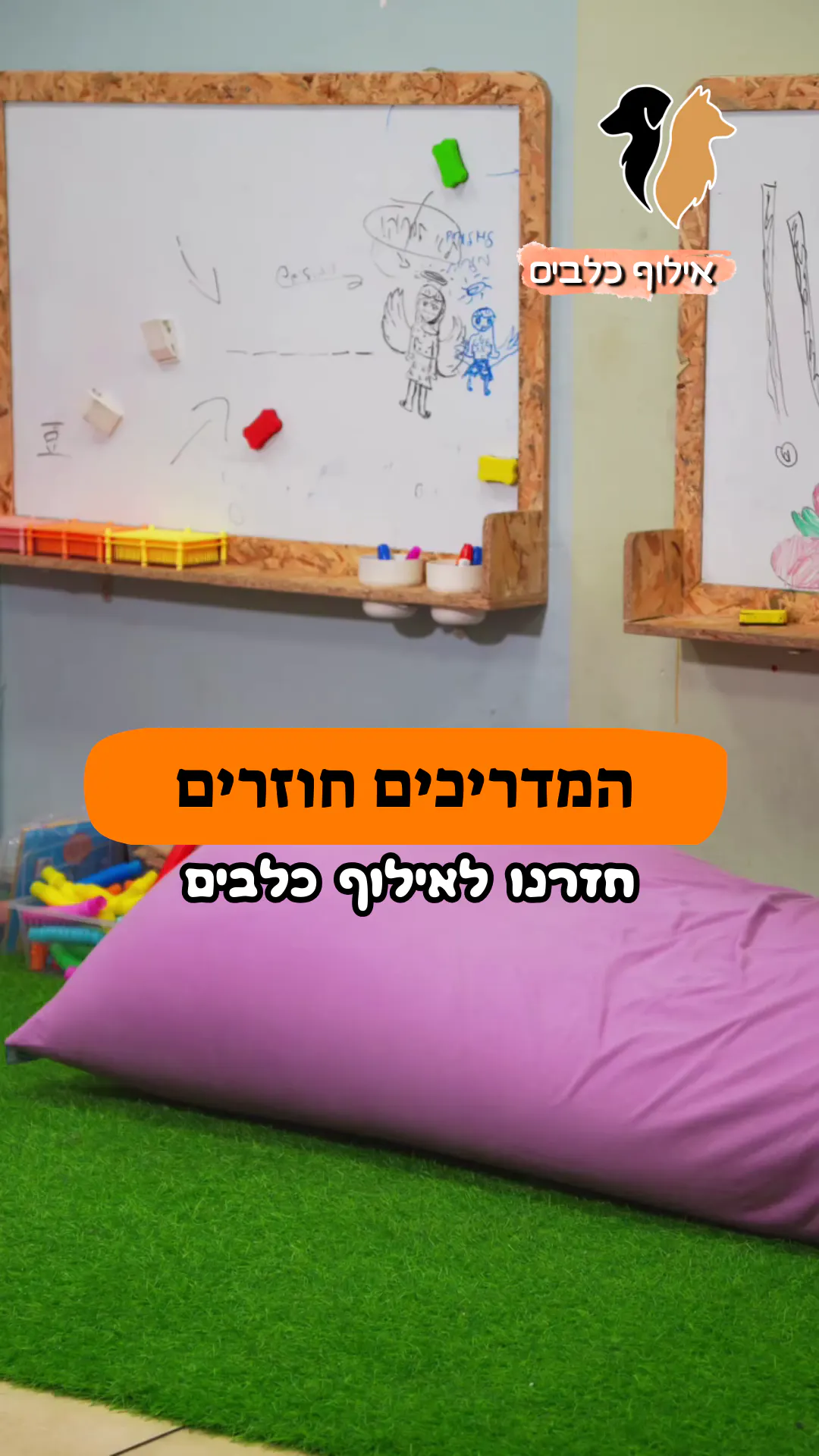 🎥 המדריכים חוזרים! | אילוף כלבים