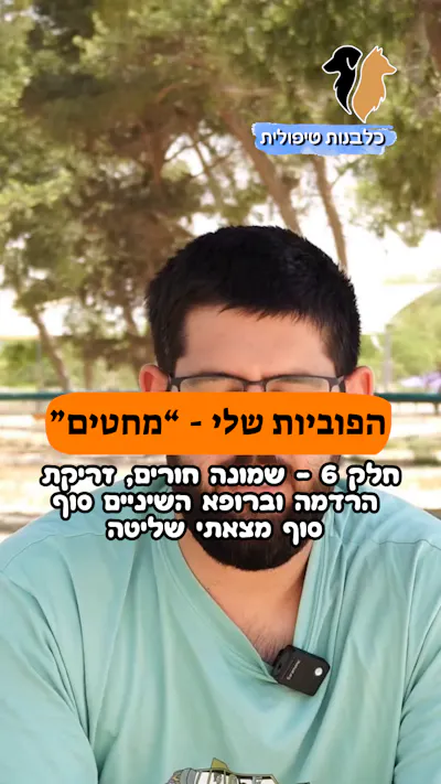 🎥 הפוביות שלי – רופא שיניים | חלק 6