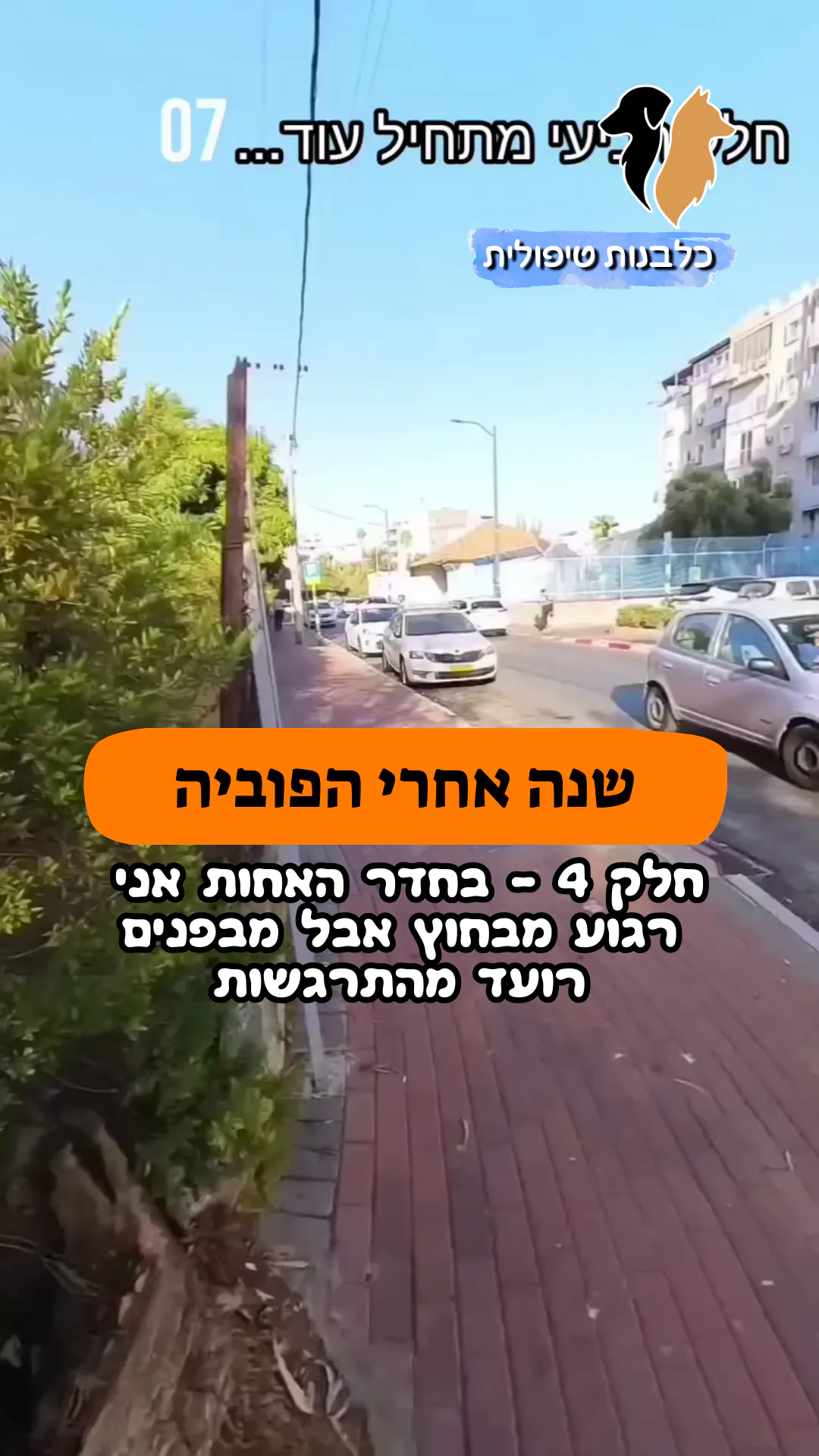 🎥 חלק 4 | שנה אחרי הפוביה |