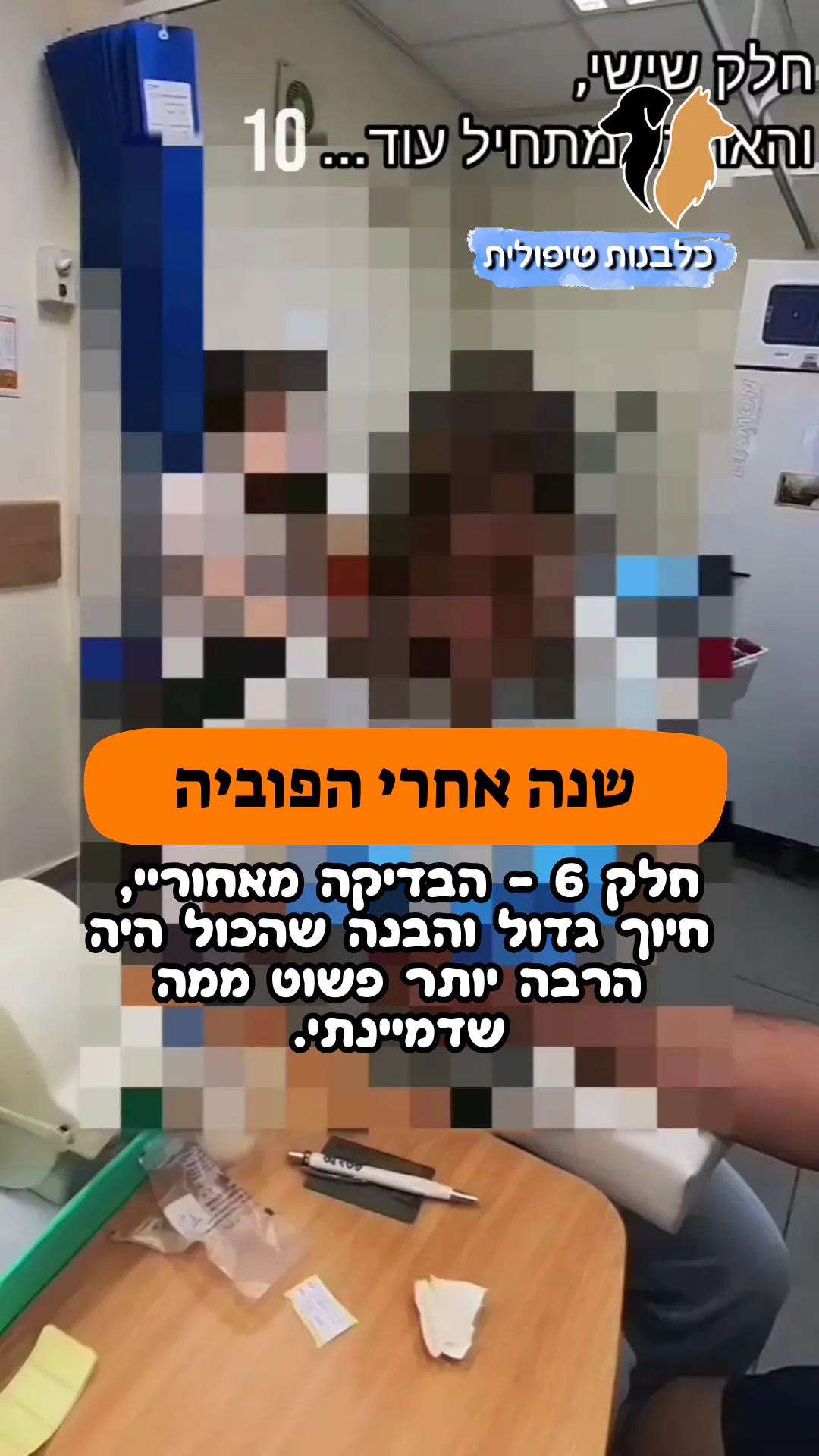 🎥 חלק 6 | שנה אחרי הפוביה |