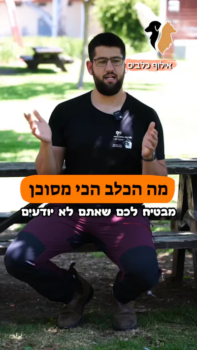 חיזוק חיובי - חלק 6