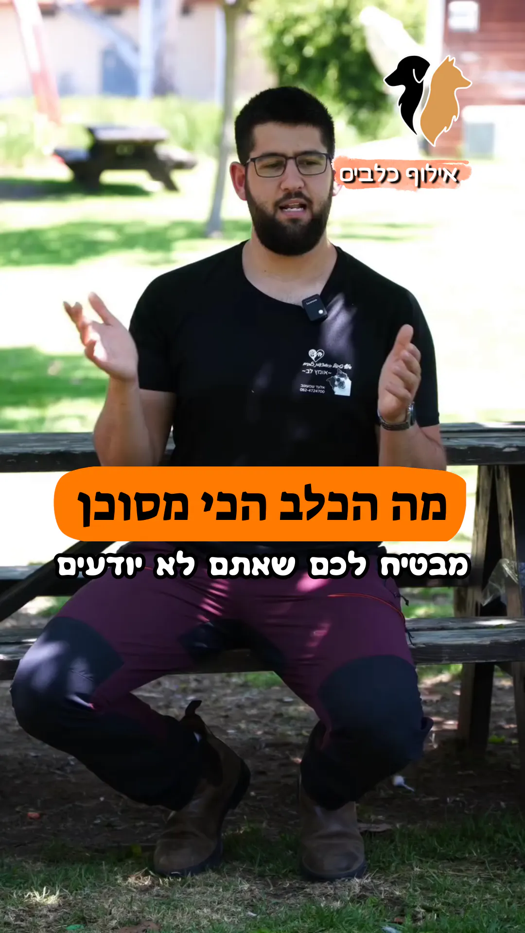 חיזוק חיובי - חלק 6