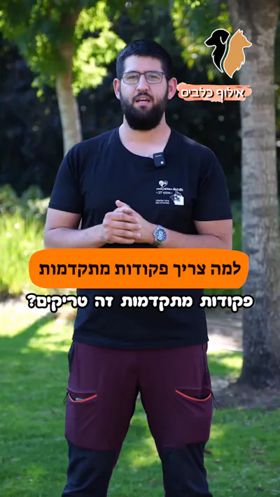 למה ללמד פקודות מתקדמות?