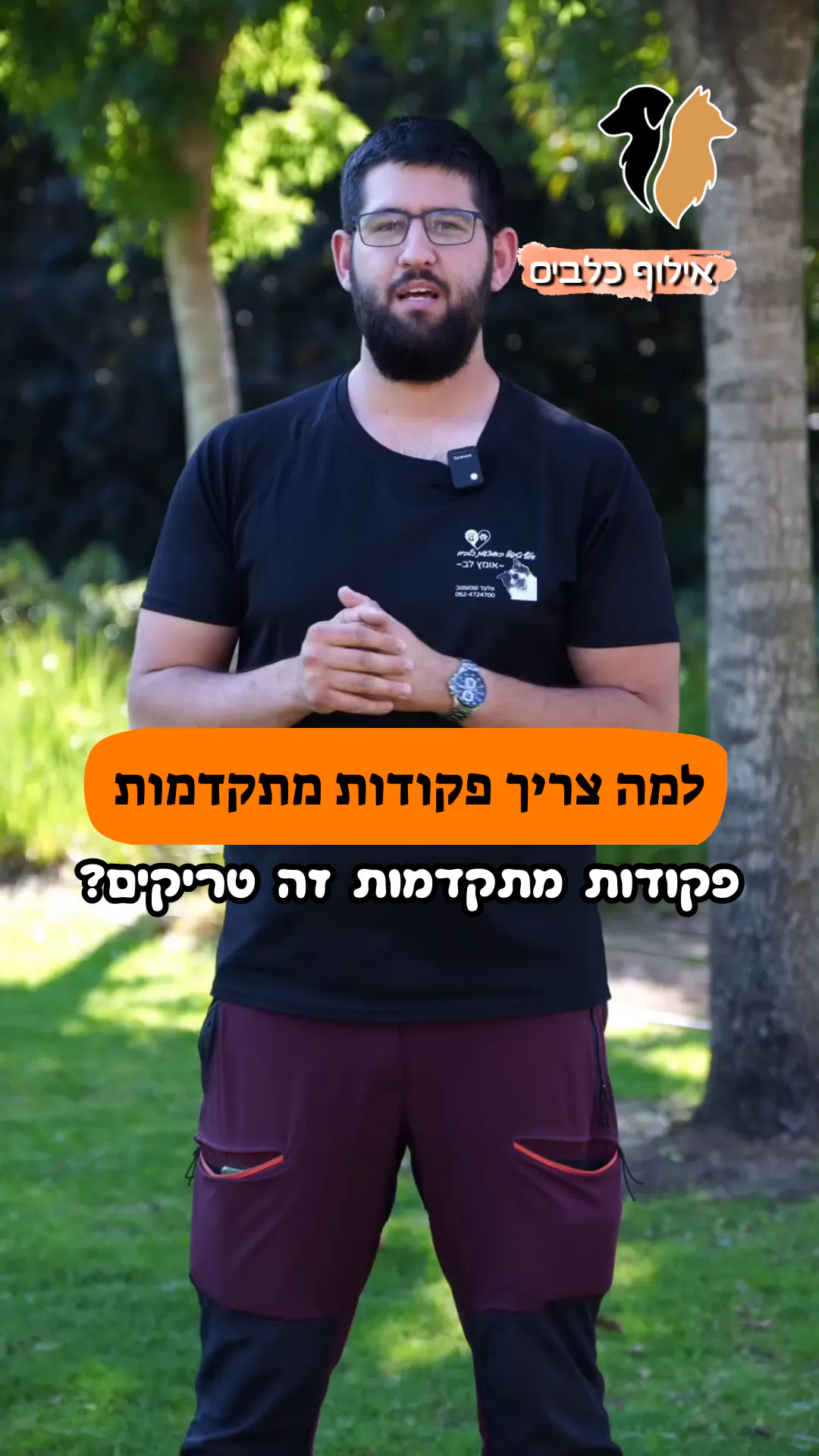למה ללמד פקודות מתקדמות?
