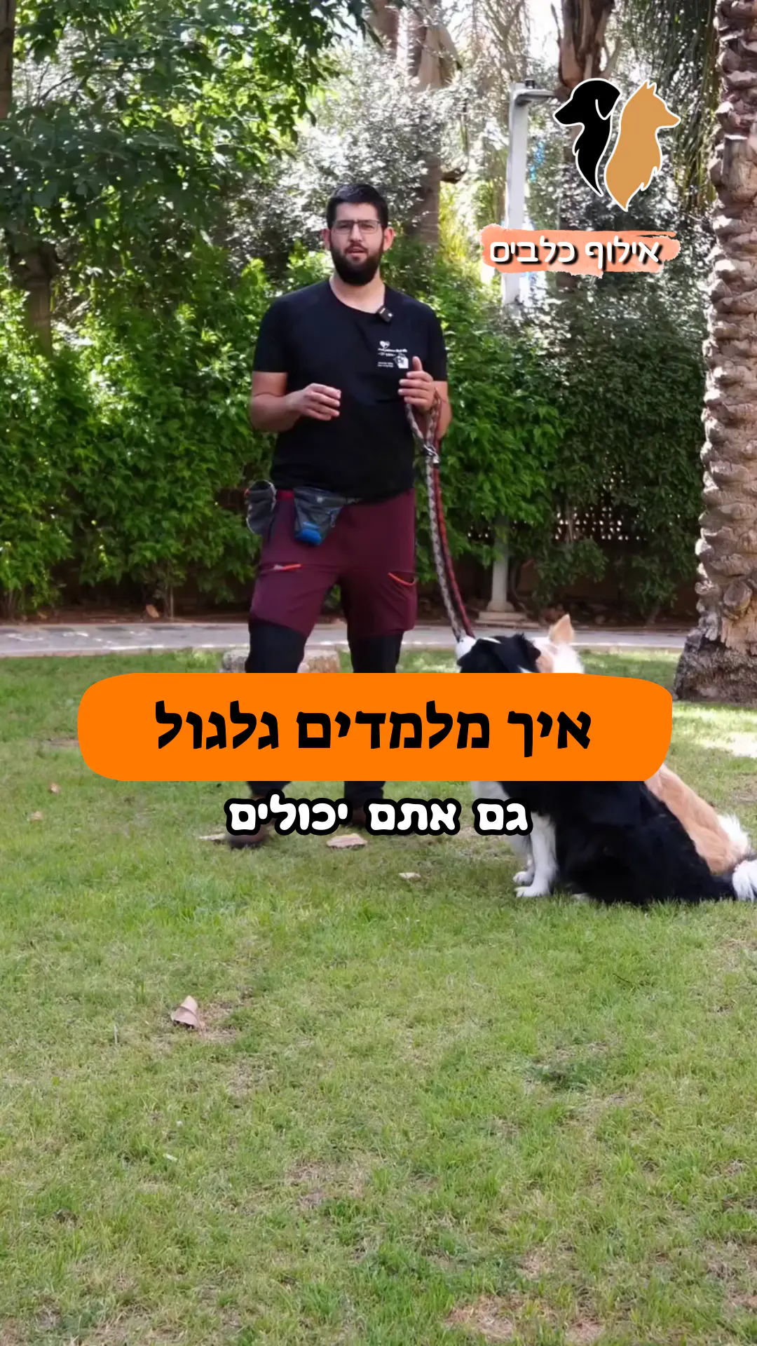 איך מלמדים את הפקודה "גלגול"?
