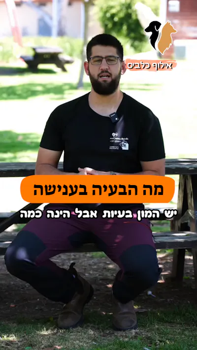חיזוק חיובי - חלק 5
