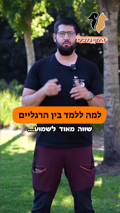 למה ללמד את הפקודה "בין הרגליים"? 🦵🐶