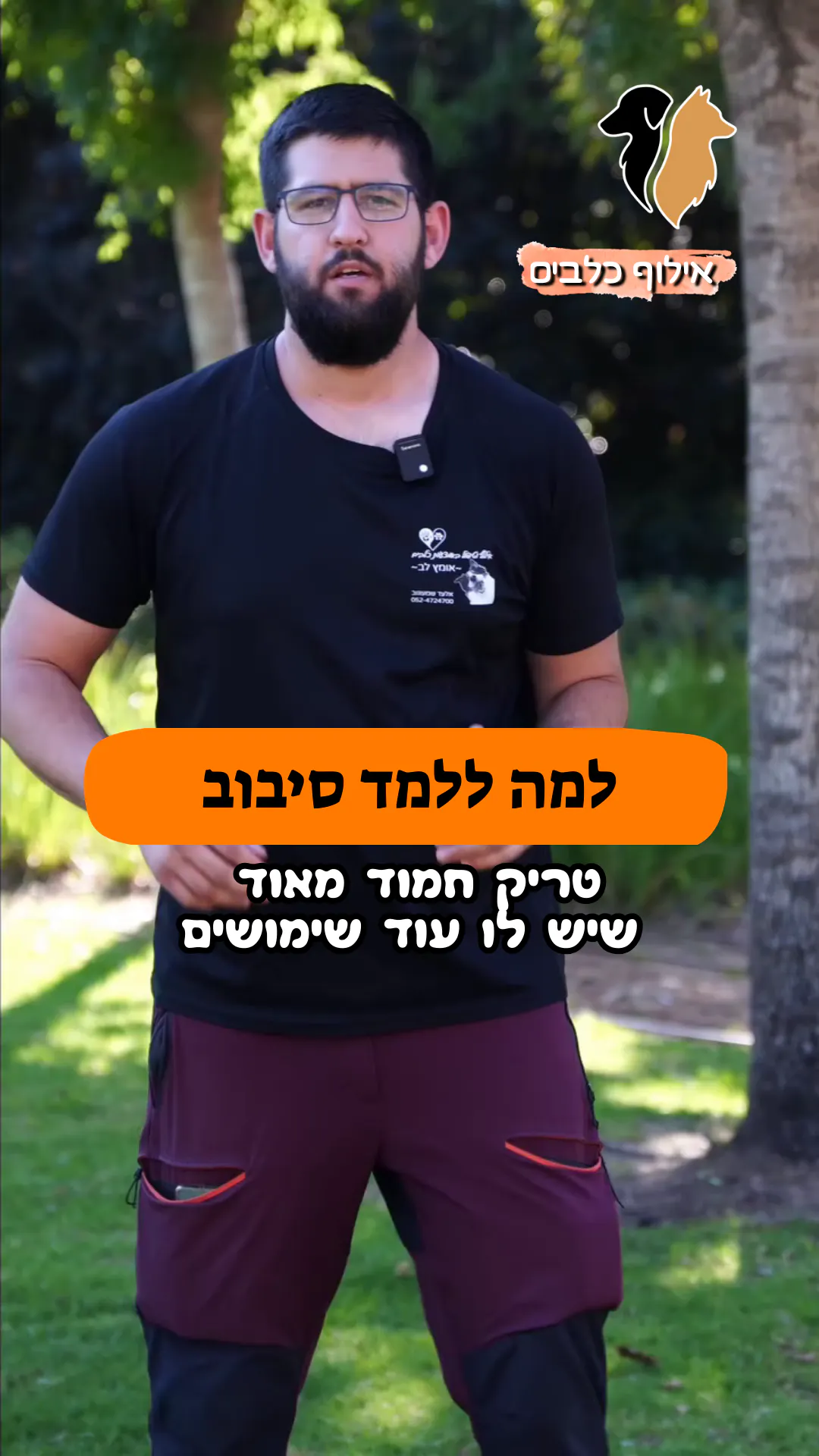 למה ללמד את הפקודה "סיבוב"? 🔁🐶