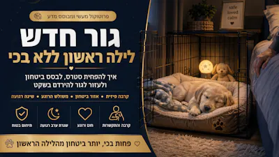 הלילה הראשון של הגור בבית: מדריך להפחתת מצוקה ובניית ביטחון