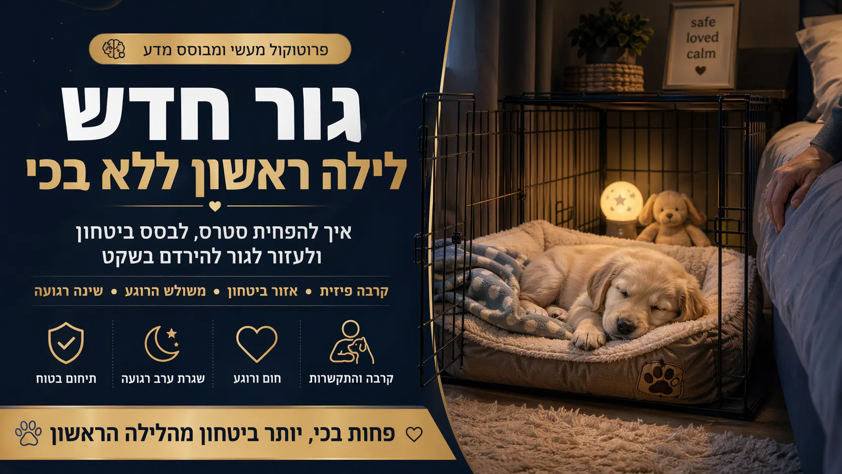 הלילה הראשון של הגור בבית: מדריך להפחתת מצוקה ובניית ביטחון