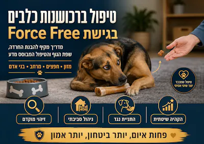 טיפול ברכושנות של כלבים 