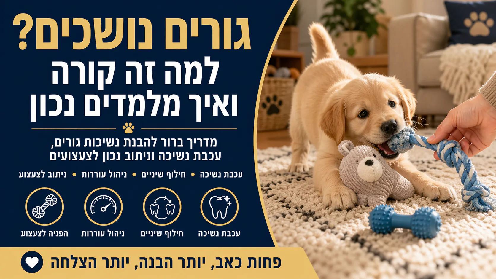 גורים נושכים: למה זה קורה ואיך מלמדים עכבת נשיכה