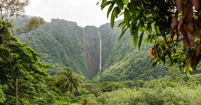 Photo of a waterfall in Hawai‘i