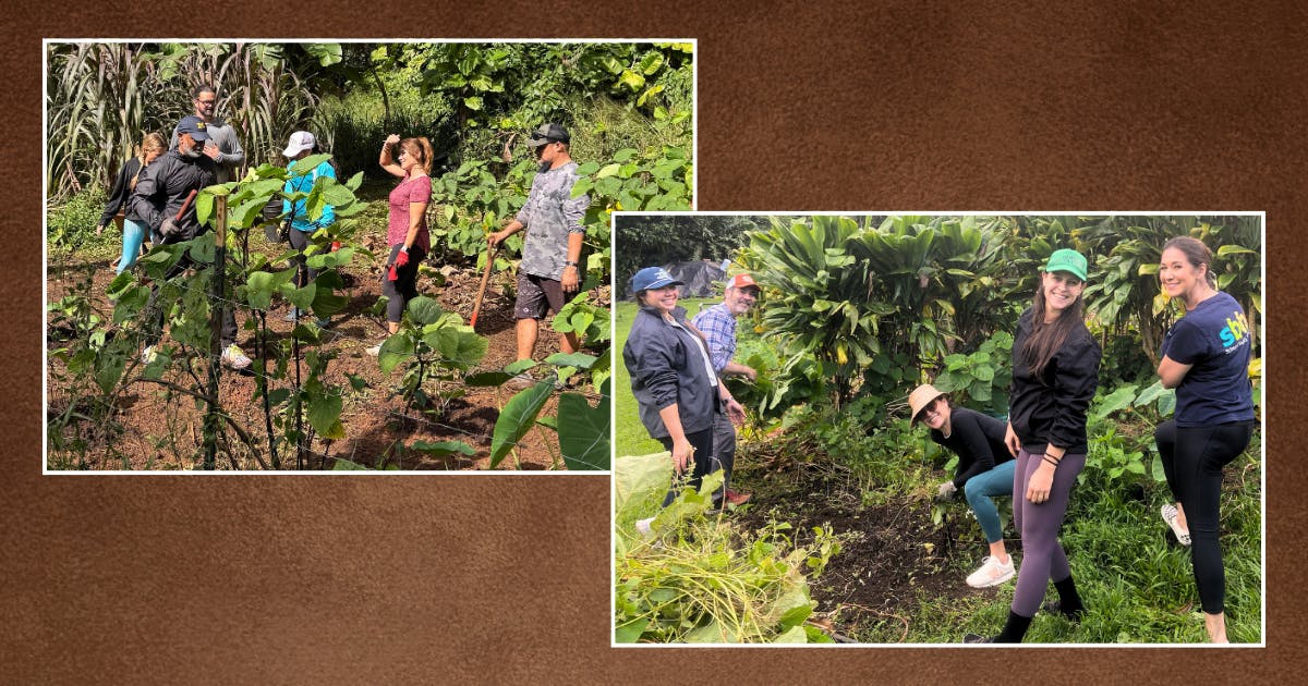 Composite photo of Cohort IX Omidyar Fellows tending to the land at Ho‘oulu 'Āina