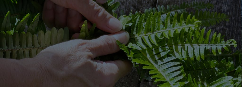 Photo of hands weaving a kupukupu lei