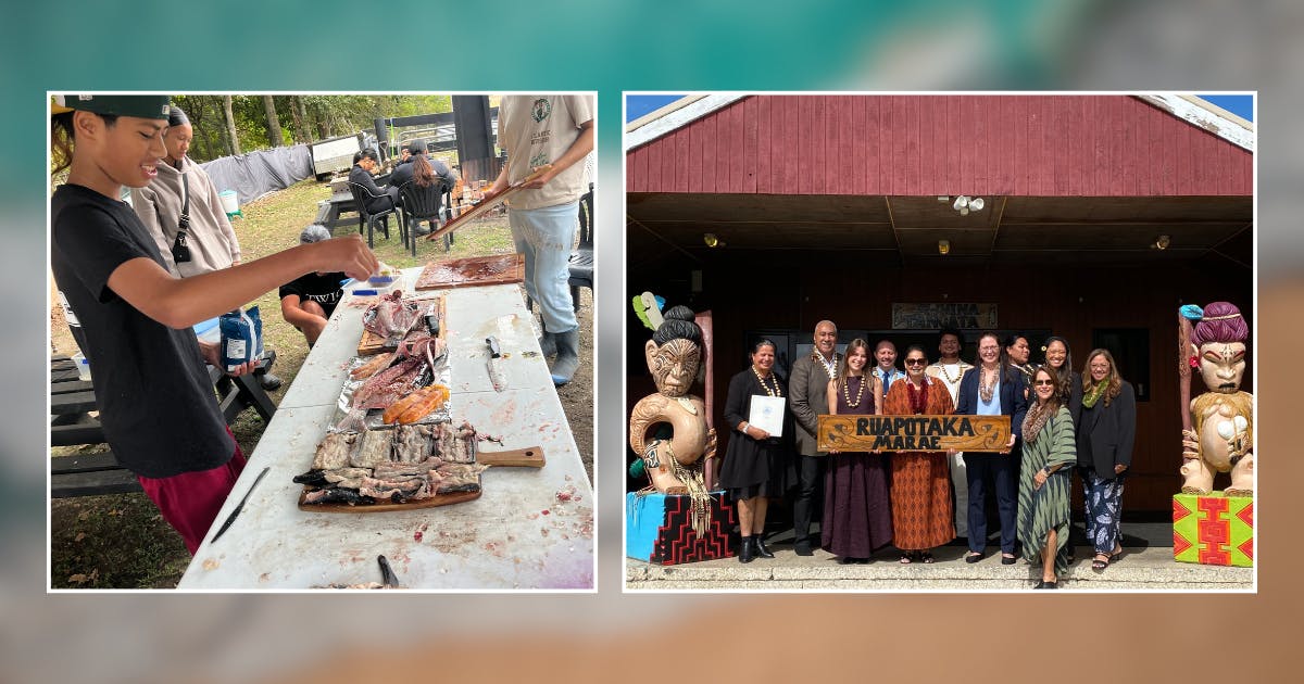 Composite photo of Shawn Kana‘iaupuni in Aotearoa