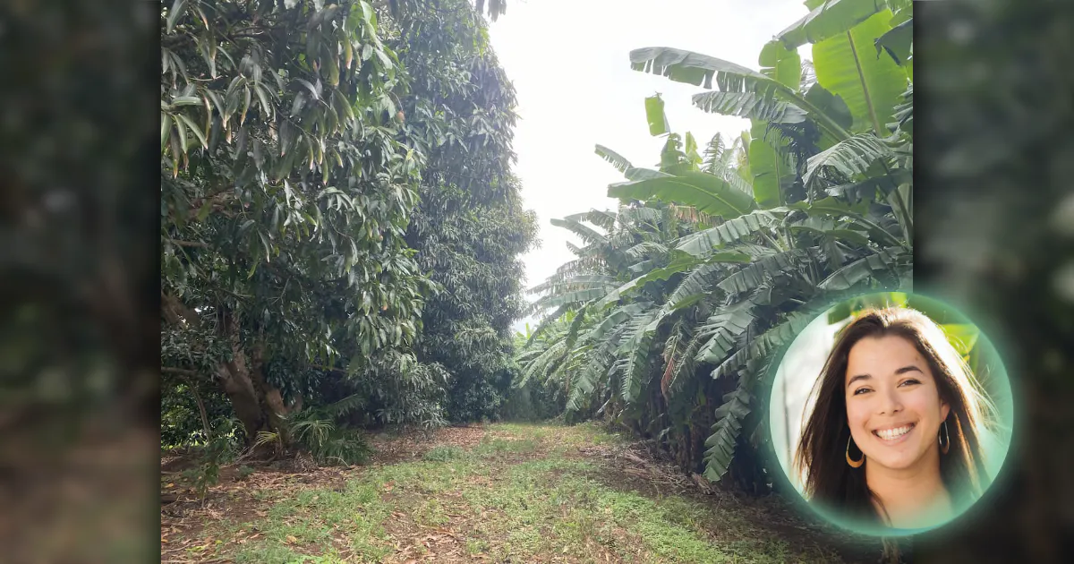 Photo of ki‘iki‘i farm provisions