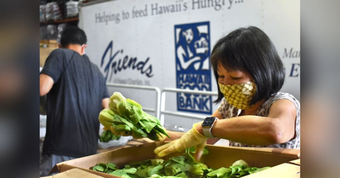 Photo of volunteers sorting through produce at the Hawai‘i Foodbank warehouse