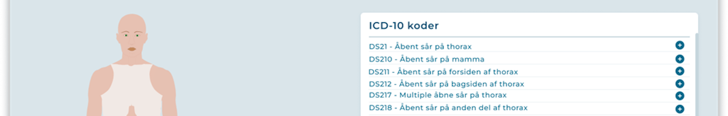 Visual Coding Assistent