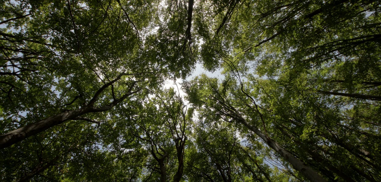 Hardrige, Journal - article Maison Hardrige obtient la certification Ecovadis : un engagement durable reconnu