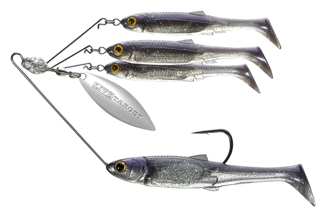 A variety of rigging options. A lure to target a variety of