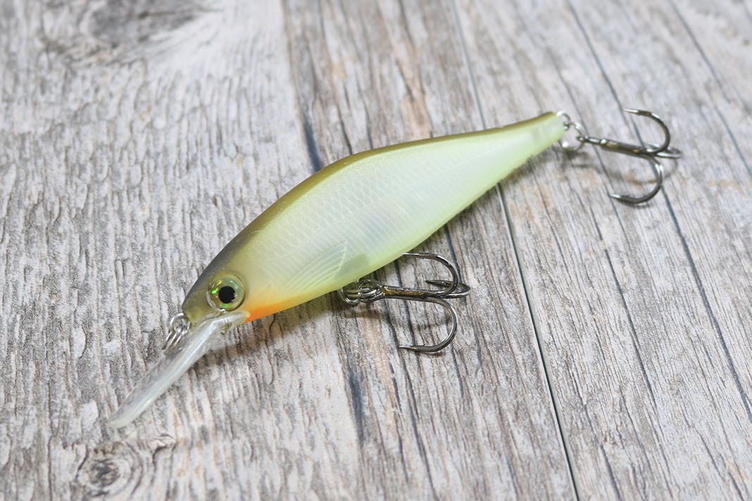 The Ultimate Guide To Jerkbait Fishing: Tips and Tricks 