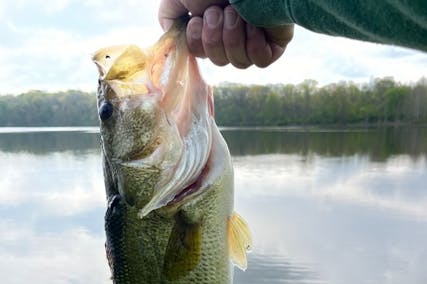Best Fishing Lakes Near Columbus, Ohio