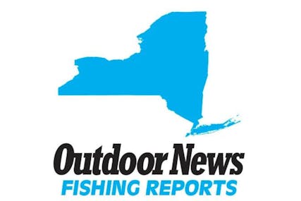 New York Fishing Report – September 22, 2023